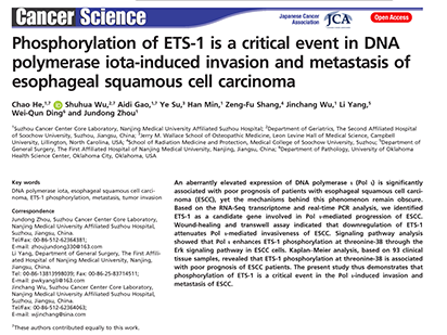 He c,et al. Phosphorylation of ETS-1 is a critical event in DNA polymerase iota-induced invasion and metastasis of esophageal squamous cell carcinoma. Cancer Sci.?2017 Sep 14.?(IF=3.974)