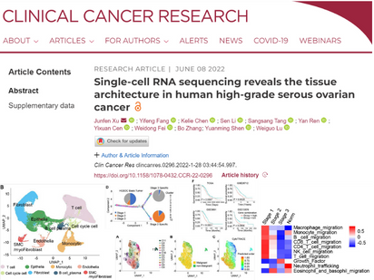 【烈冰助力CCR第二彈】單細(xì)胞測序揭示人類高級別漿液性卵巢癌的組織結(jié)構(gòu)