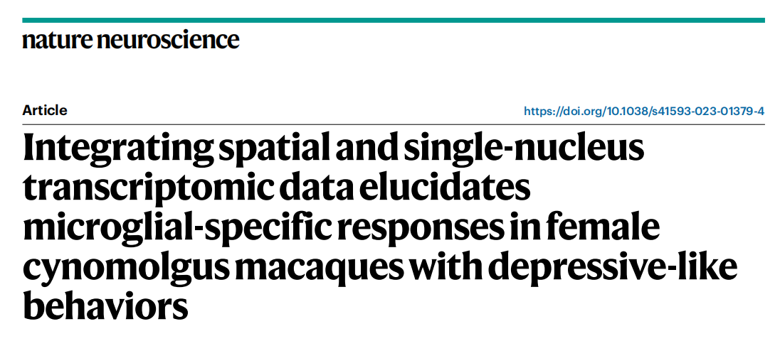 【烈冰助力】單細(xì)胞核測序+空間組學(xué)，烈冰生物助力重醫(yī)附一院神經(jīng)內(nèi)科團(tuán)隊解析抑郁行為發(fā)生新機(jī)制