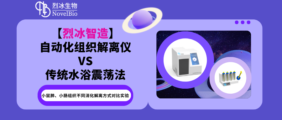 小鼠肺、小腸組織不同消化解離方式對比實驗