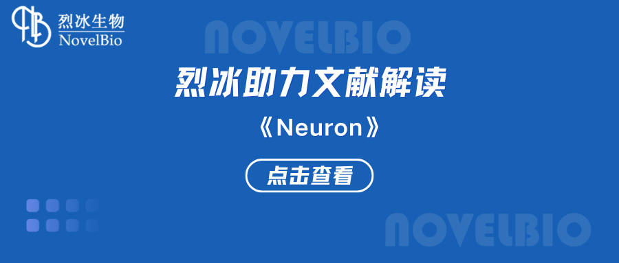 【烈冰助力】腫瘤-神經(jīng)交界處的鉀離子通道增強癲癇膠質(zhì)母細(xì)胞瘤的神經(jīng)元興奮性